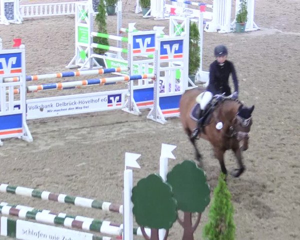 Reitturnier Hövelhof 2017