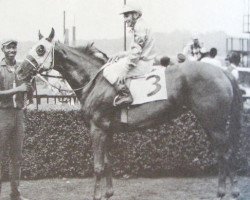 broodmare Quill xx (Thoroughbred, 1956, from Princequillo xx)