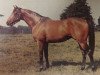 stallion Run The Gantlet xx (Thoroughbred, 1968, from Tom Rolfe xx)