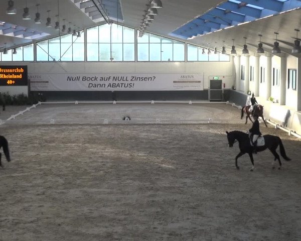 Reitturnier Mönchengladbach-Abtshof 2017