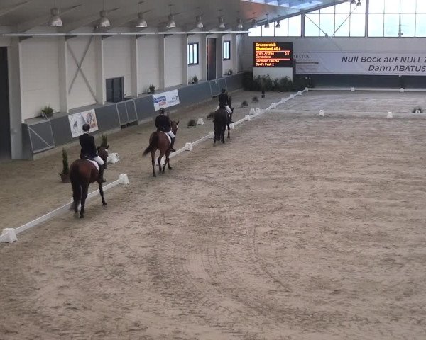 Reitturnier Mönchengladbach-Abtshof 2017