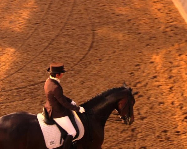 Reitturnier Dallgow 2017
