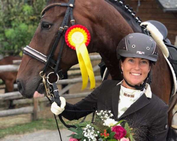 dressage horse Fidget Phil (Hanoverian, 2010, from Fabregas)