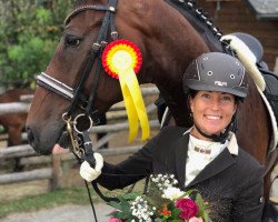 dressage horse Fidget Phil (Hanoverian, 2010, from Fabregas)