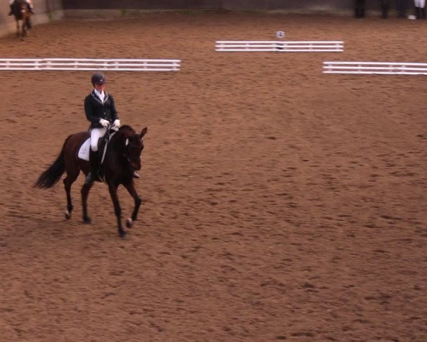 Reitturnier Dallgow 2017