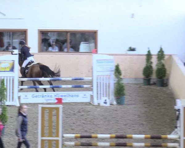 Reitturnier Hövelhof 2017