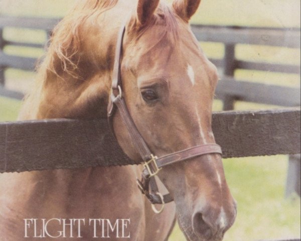 stallion Flight Time (American Saddlebred Horse, 1962, from Wing Commander)