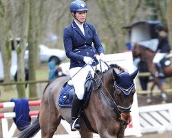 dressage horse Fitch 2 (Hanoverian, 2009, from For Edition)