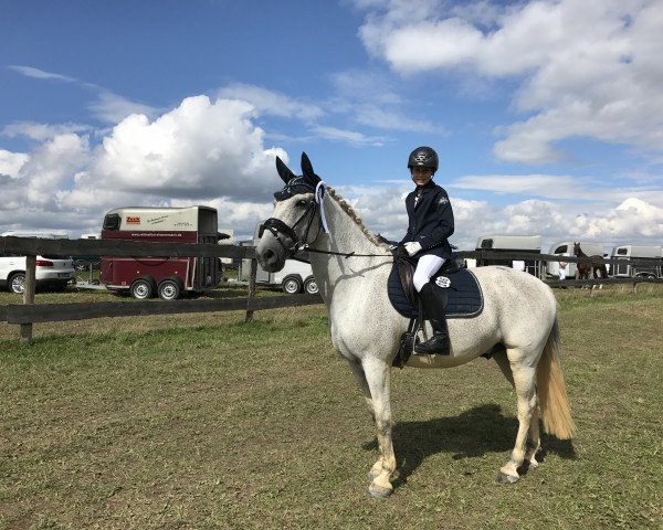 dressage horse Don Juan 202 (Luxembourg horse, 2007, from Rock König)