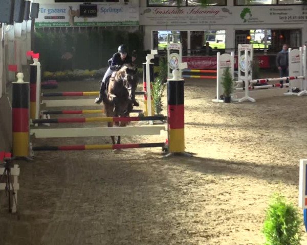 Reitturnier Vreden 2017