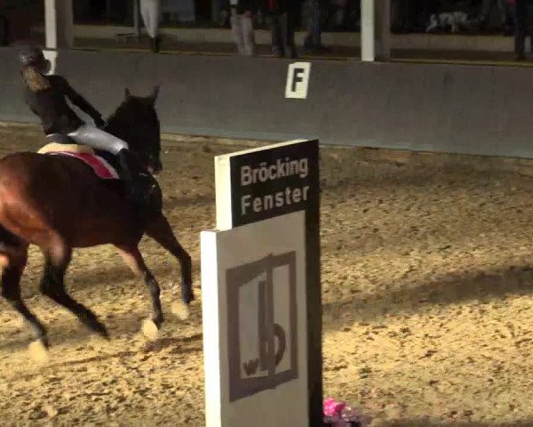 Reitturnier Vreden 2017