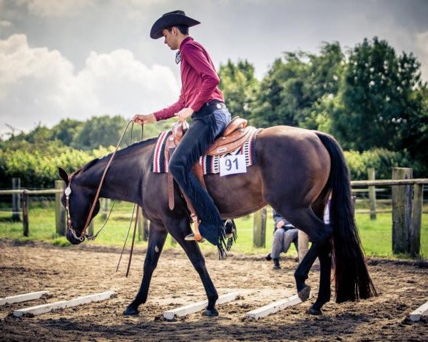 Pferd Talksweettome Lena (Quarter Horse, 2006)