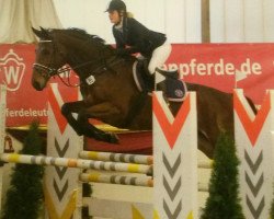 jumper Trotzki S (Trakehner, 2008, from Heops)