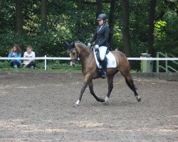 dressage horse Cleopatra 282 (German Riding Pony, 2012, from FS Champion de Luxe)