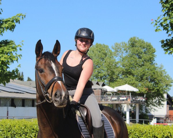 dressage horse Suddenly Love (Oldenburg, 2011, from Sir Donnerhall I)