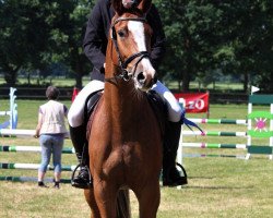 jumper Bunter Boy (Hanoverian, 2014, from Quarismo)