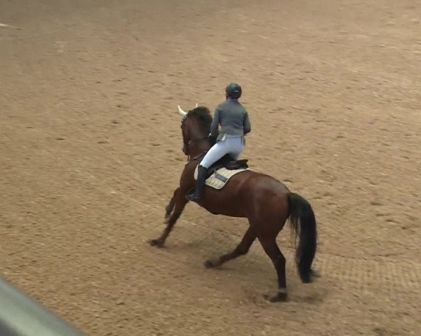 Reitturnier Kreuth 2017