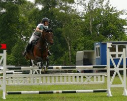 jumper Coralin 5 (Hanoverian, 2005, from Contendro I)