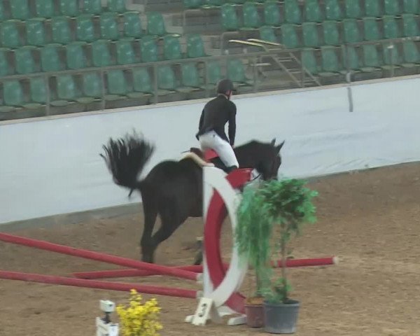 Reitturnier Kreuth 2017