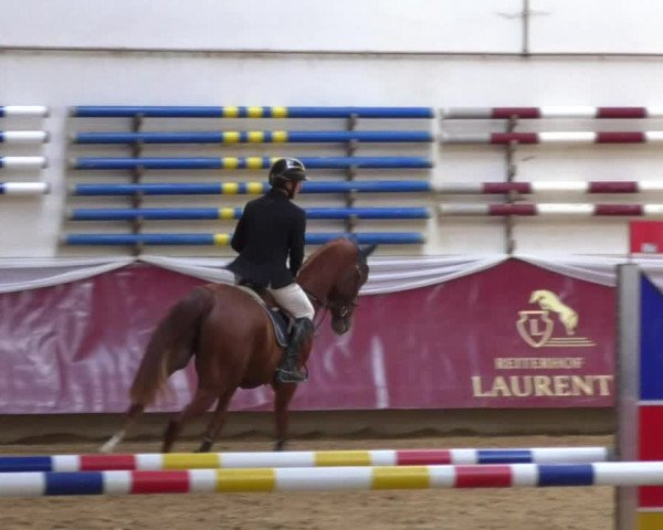 Reitturnier Eicherloh RH Laurent 2017