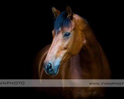 broodmare Royal Victoria (Rhinelander, 2003, from Rosenkoenig)