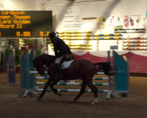 Reitturnier Eicherloh RH Laurent 2017