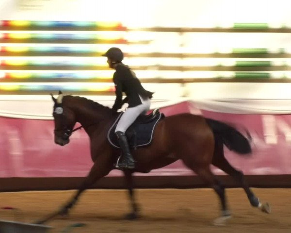 Reitturnier Eicherloh RH Laurent 2017