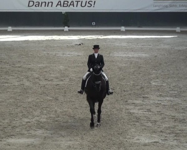 Reitturnier Mönchengladbach-Abtshof 2017