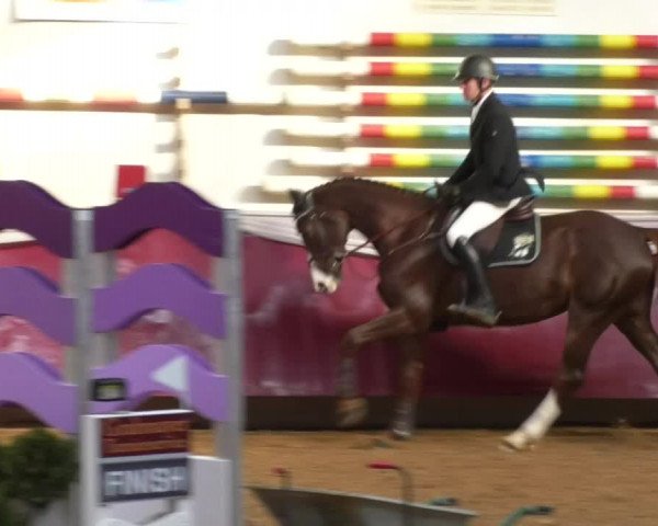Reitturnier Eicherloh RH Laurent 2017