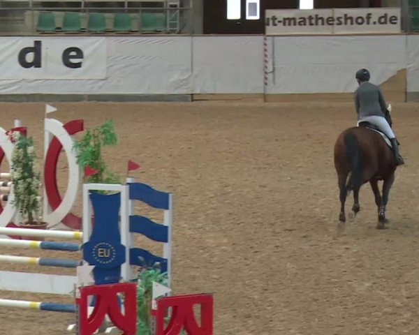 Reitturnier Kreuth 2017
