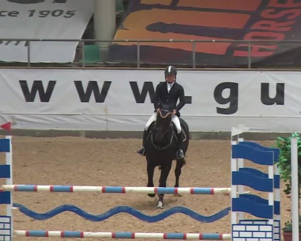 Reitturnier Kreuth 2017
