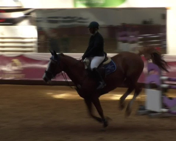Reitturnier Eicherloh RH Laurent 2017