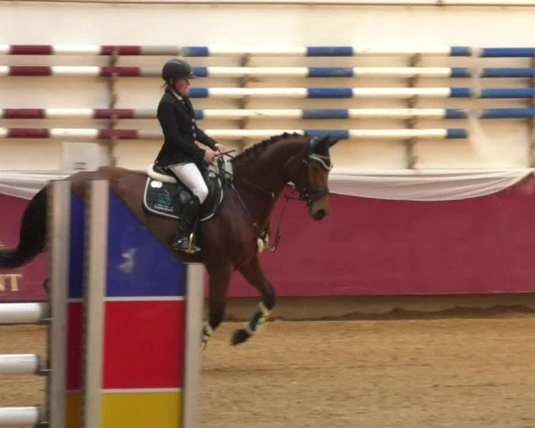Reitturnier Eicherloh RH Laurent 2017