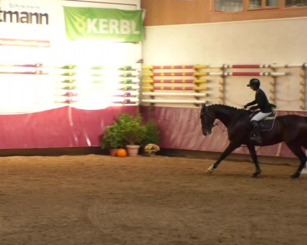 Reitturnier Eicherloh RH Laurent 2017