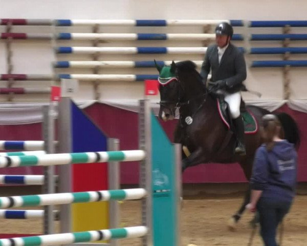 Reitturnier Eicherloh RH Laurent 2017