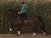 dressage horse Valentina Es (German Riding Pony, 2005, from Cyros)