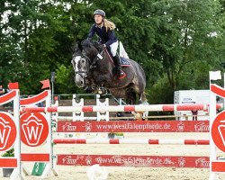 Springpferd J.C. Jewel's Ruby (Belgisches Warmblut, 2009, von Cicero Z van Paemel)