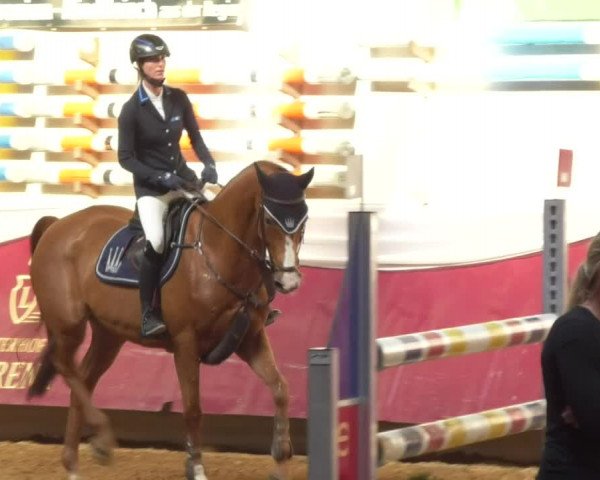 Reitturnier Eicherloh RH Laurent 2017