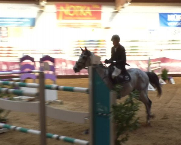 Reitturnier Eicherloh RH Laurent 2017