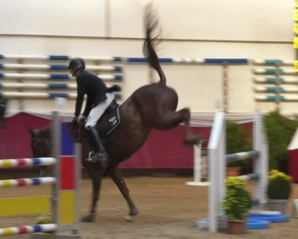 Reitturnier Eicherloh RH Laurent 2017