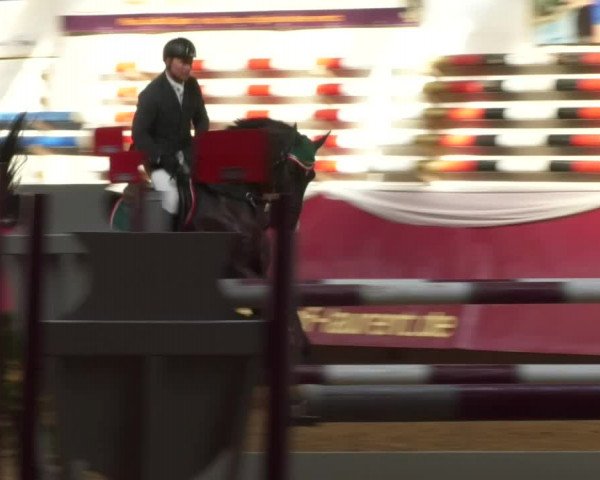 Reitturnier Eicherloh RH Laurent 2017