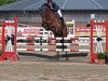 jumper Carlo's Boy W Z (Zangersheide riding horse, 2005, from Carthago)