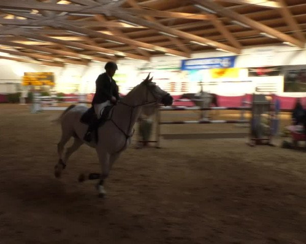Reitturnier Eicherloh RH Laurent 2017