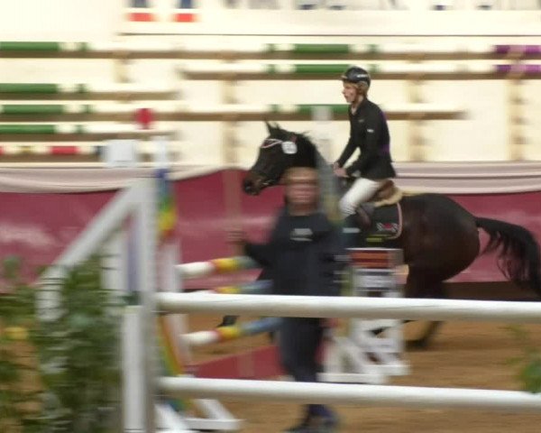 Reitturnier Eicherloh RH Laurent 2017