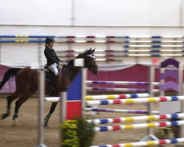 Reitturnier Eicherloh RH Laurent 2017