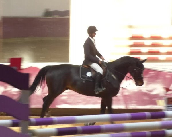 Reitturnier Eicherloh RH Laurent 2017