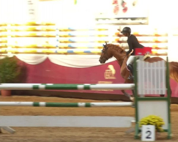 Reitturnier Eicherloh RH Laurent 2017