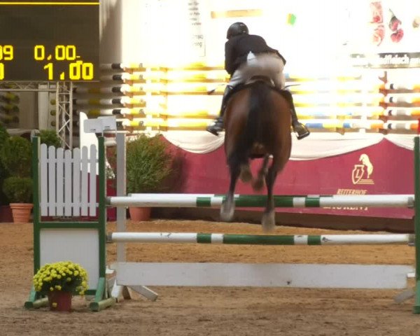 Reitturnier Eicherloh RH Laurent 2017