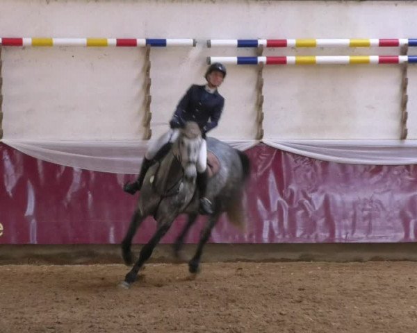 Reitturnier Eicherloh RH Laurent 2017