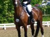 broodmare Sissy (Hanoverian, 2002, from San Brasil)